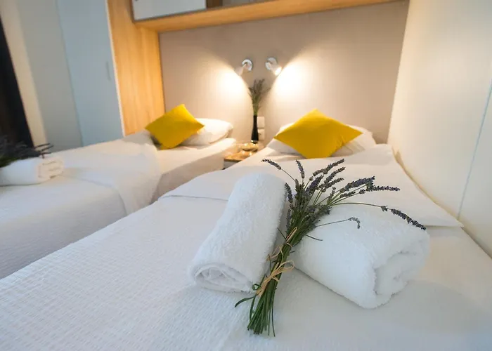 Family-friendly With Swimming Pool Donji Zagon, - 24555 Appartement *